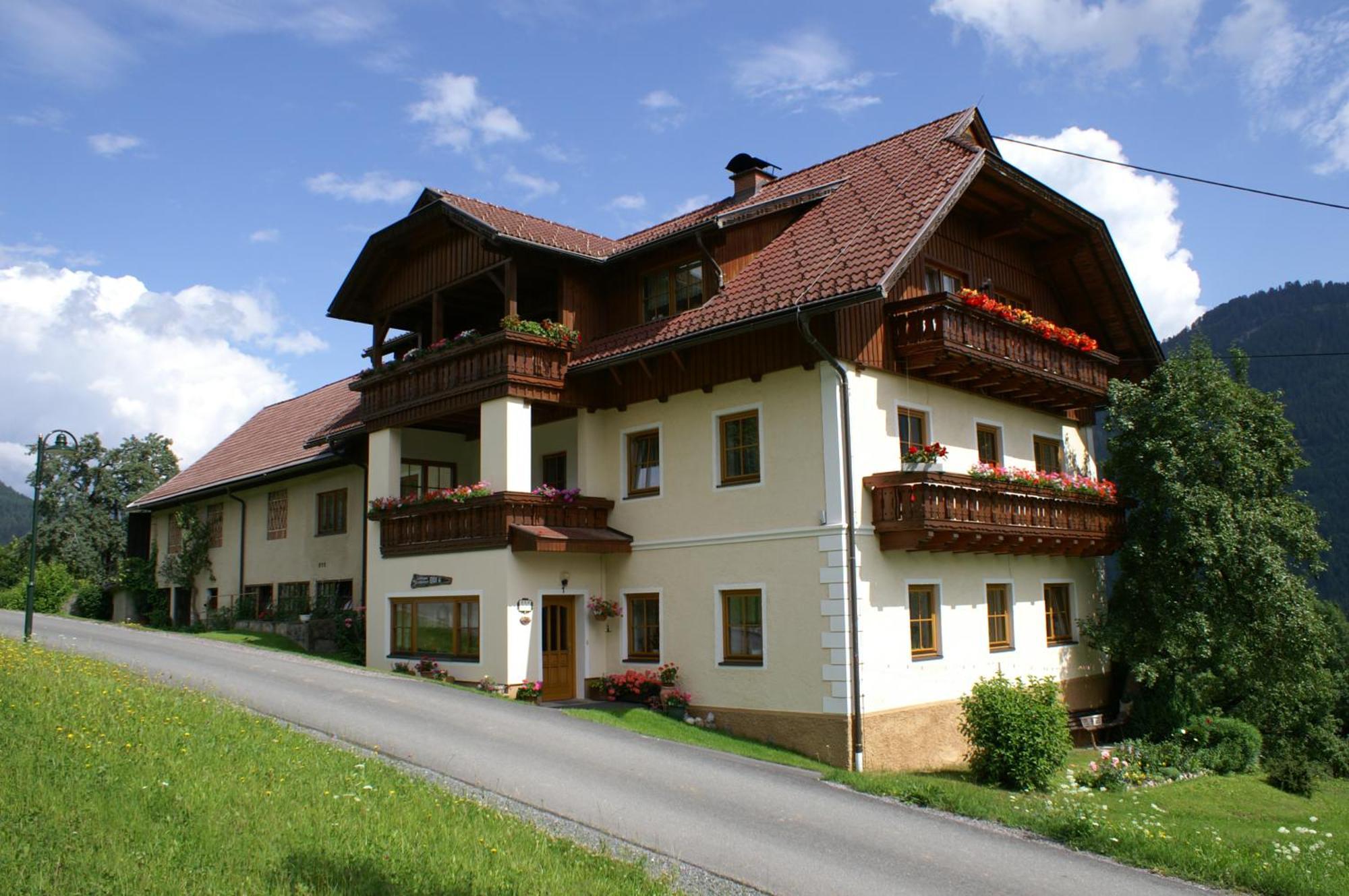 Apartment Enzi *