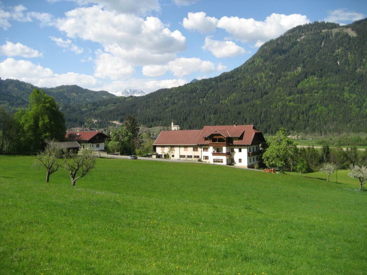 Apartment Enzi *